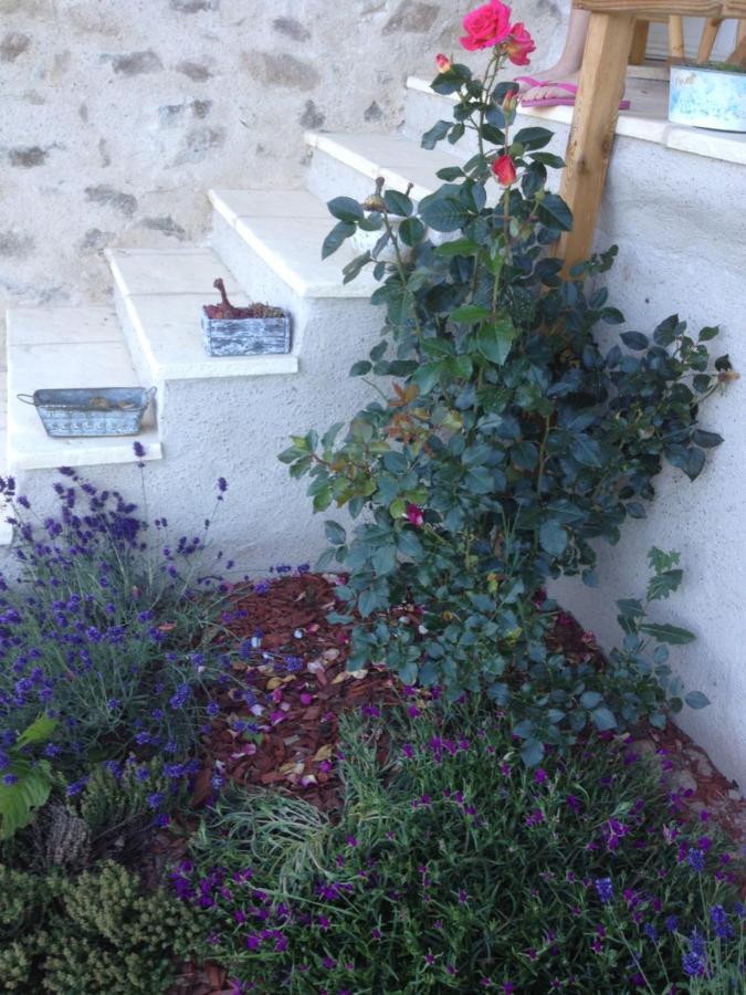 Le Domaine Des Terres Saint-Appolinaire (Rhone) Exterior foto